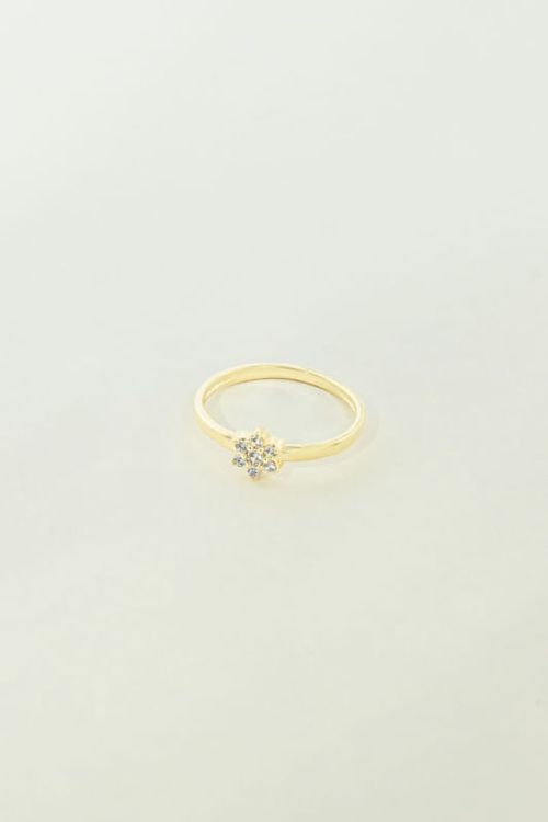 Anel Flor Pontos de Luz