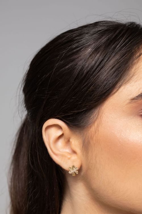 Brinco Argola Click com Flor Lisa