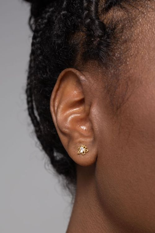 Brinco Pequeno Flor Com Zircônias