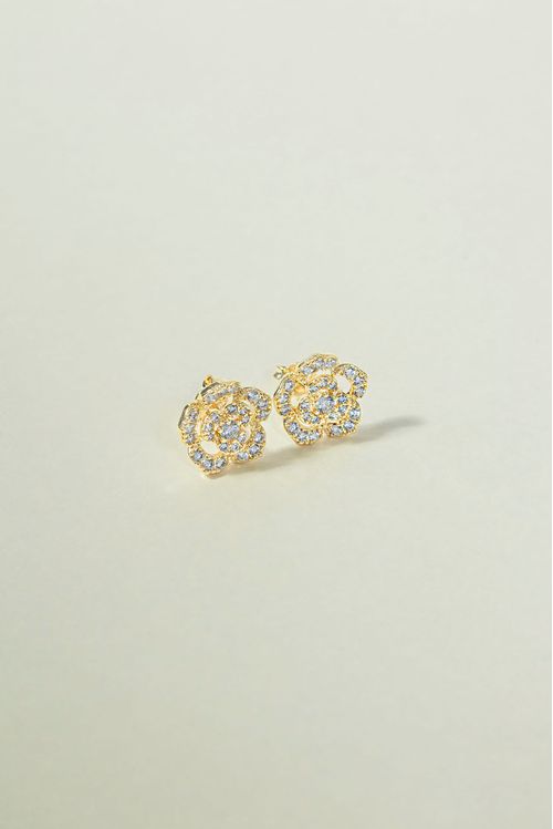 Brinco Flor Cravejada Vazada