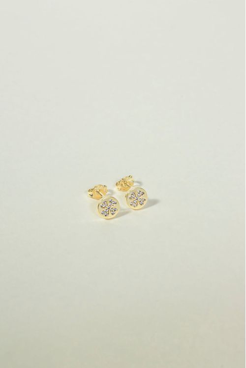 Brinco Trevo Da Sorte Cravejado