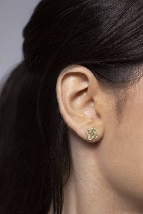 Brinco Trevo Liso