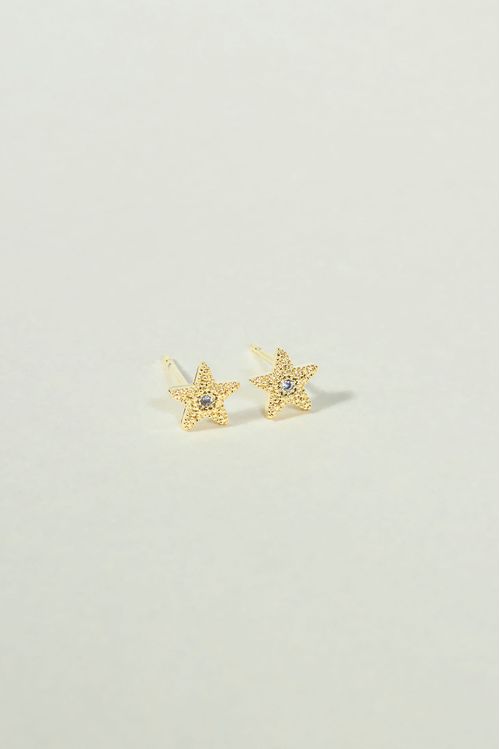 Brinco Estrela Texturizada