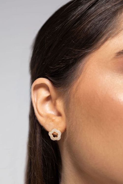 Brinco Flor Vazada Cravejada