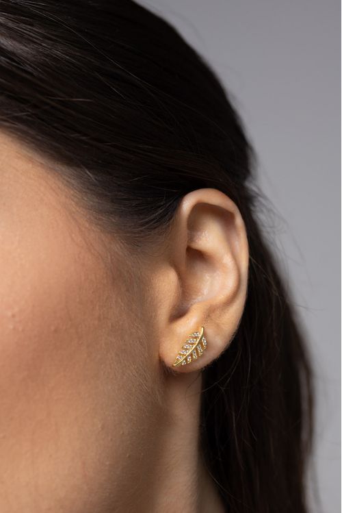 Brinco Folha Cravejada
