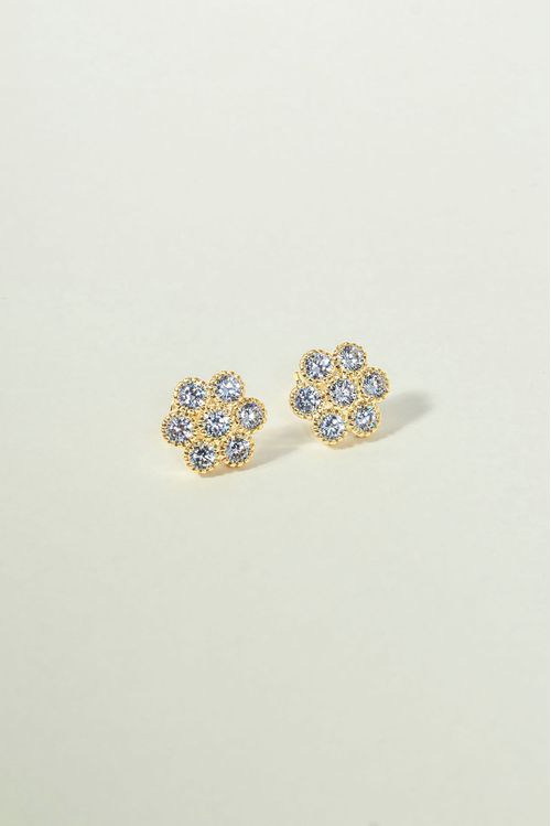 Brinco Flor Pontos De Luz