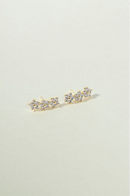 Brinco Flores Em Pontos De Luz