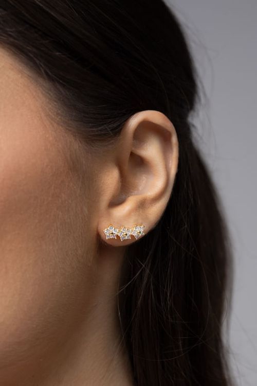 Brinco Flores Em Pontos De Luz