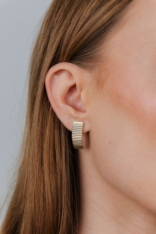 Brinco Liso Com Detalhes