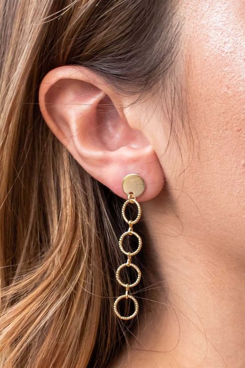 Brinco Círculos Vazados