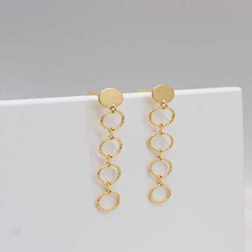Brinco Círculos Vazados