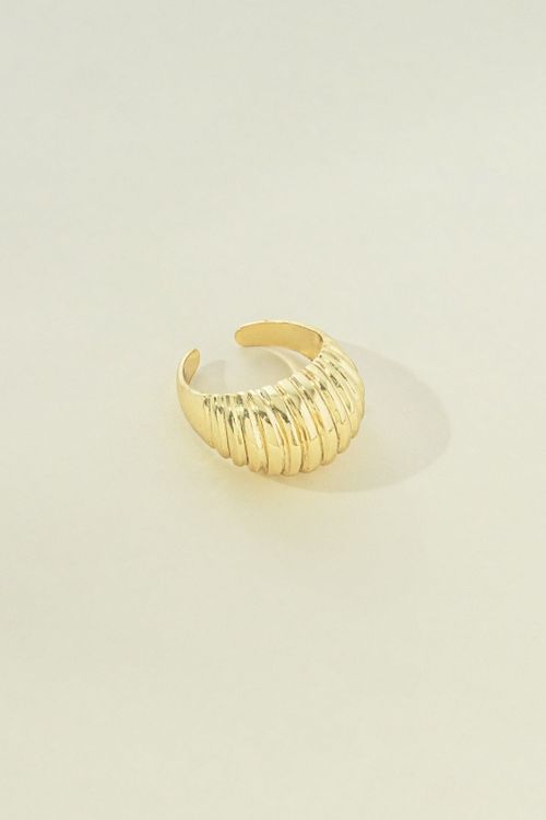 Anel Ajustável Com Detalhes Emlistras