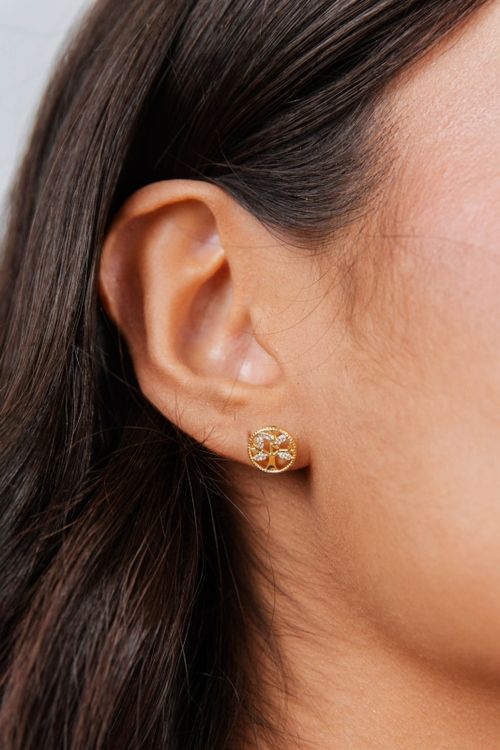 Conjunto Árvore Cravejada