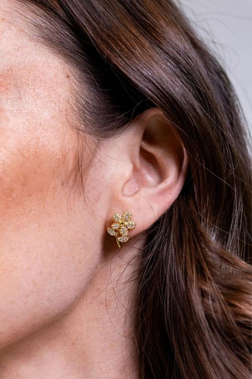 Conjunto Flor Cravejado