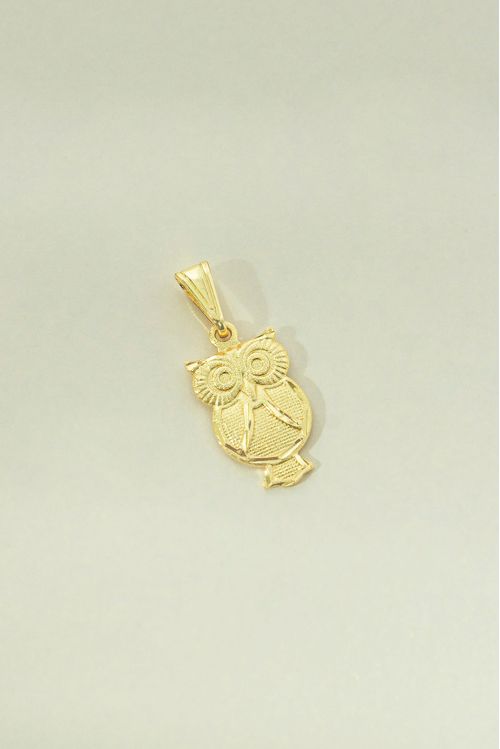 Pingente Coruja Com Detalhes