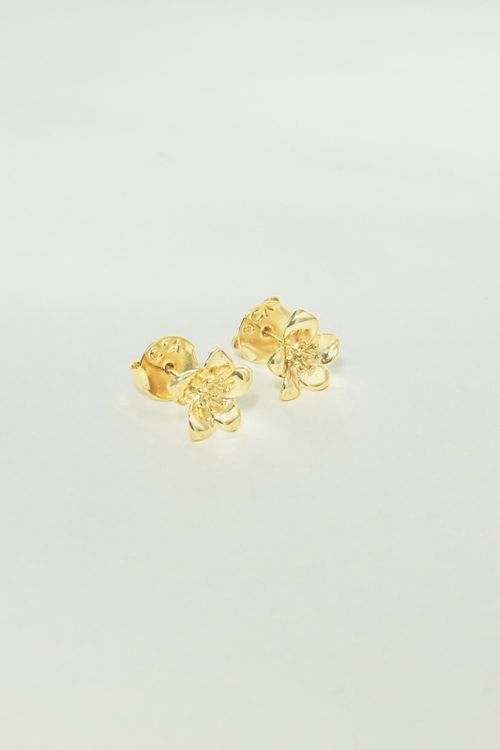 Brinco Flor Liso
